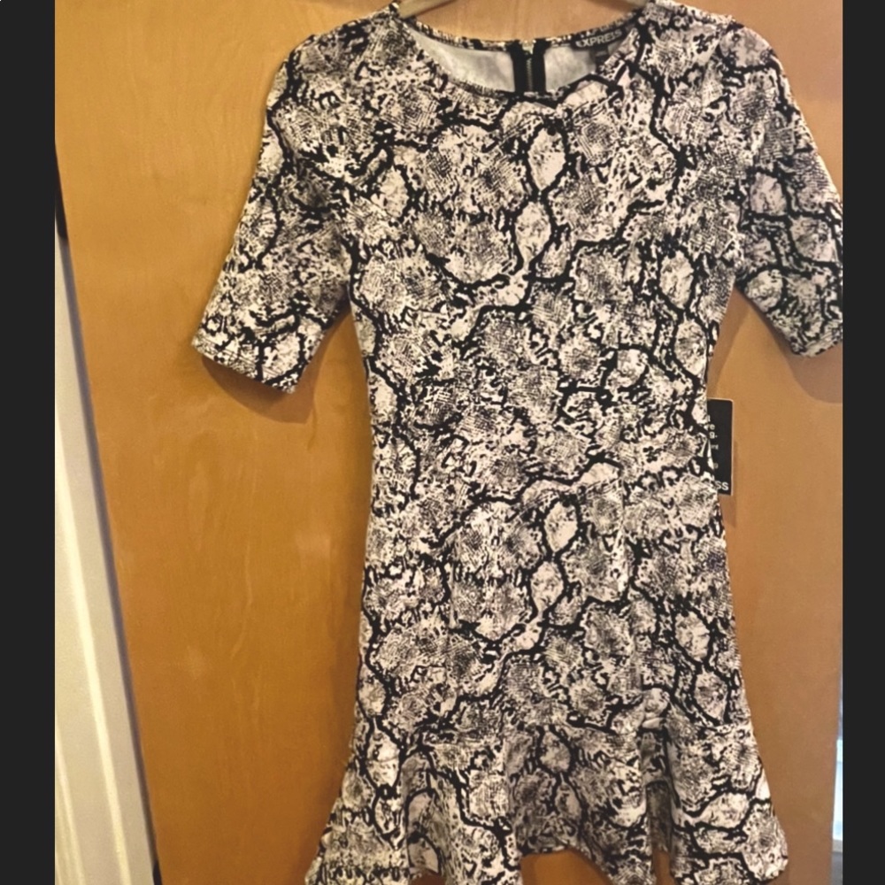 EXPRESS skater dress